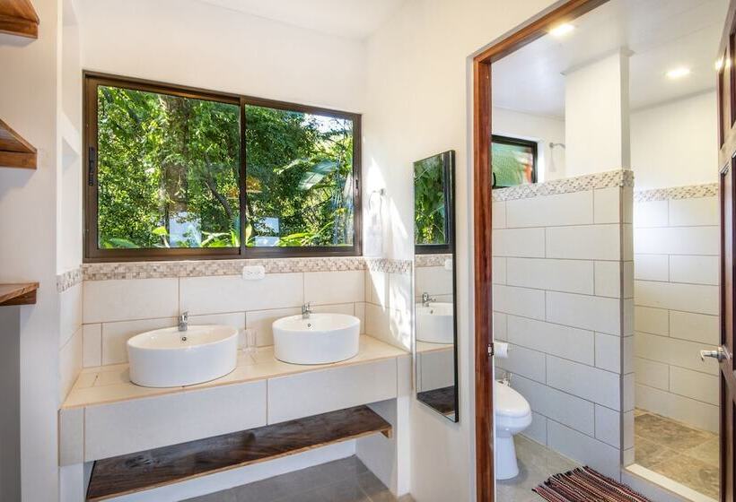 Отель Jungle Lodge At Wild Sun Rescue Center