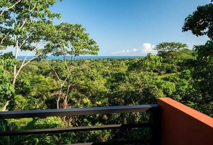 Hotelli Jungle Lodge At Wild Sun Rescue Center