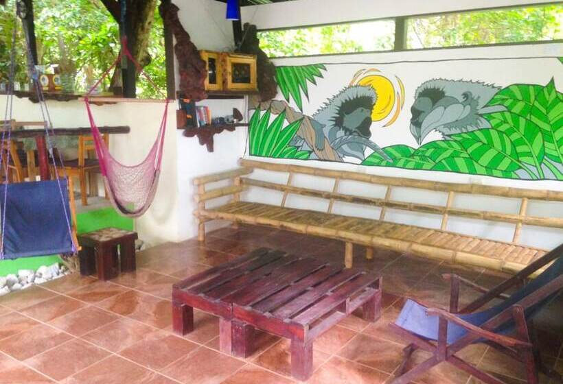 Отель Jungle Lodge At Wild Sun Rescue Center