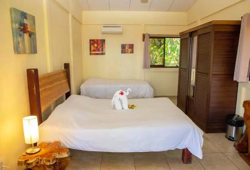 Hotelli Jungle Lodge At Wild Sun Rescue Center