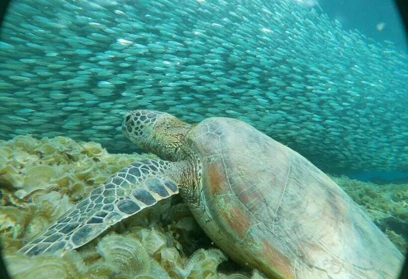 Hotelli Marina Village