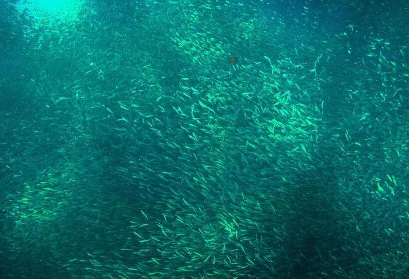 호텔 Marina Village