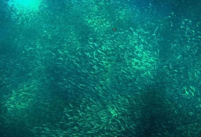 Hotelli Marina Village