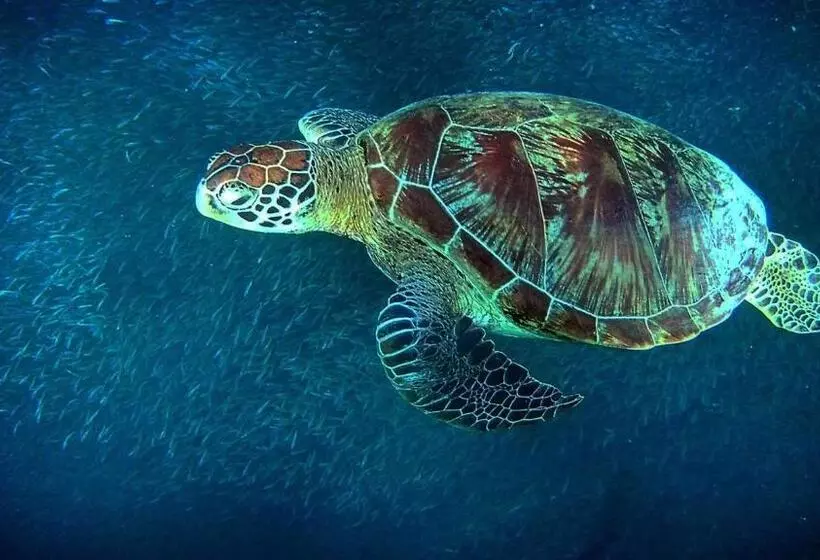 Hotelli Marina Village