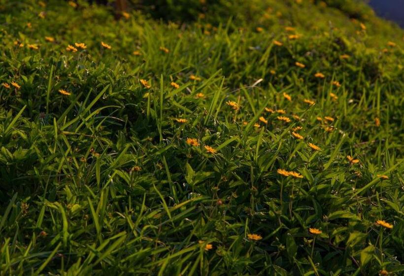 호텔 Villas Del Mar Máncora