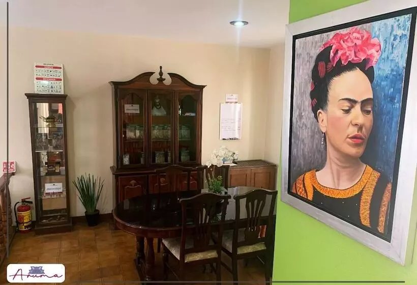 پانسیون Aruma Cuernavaca
