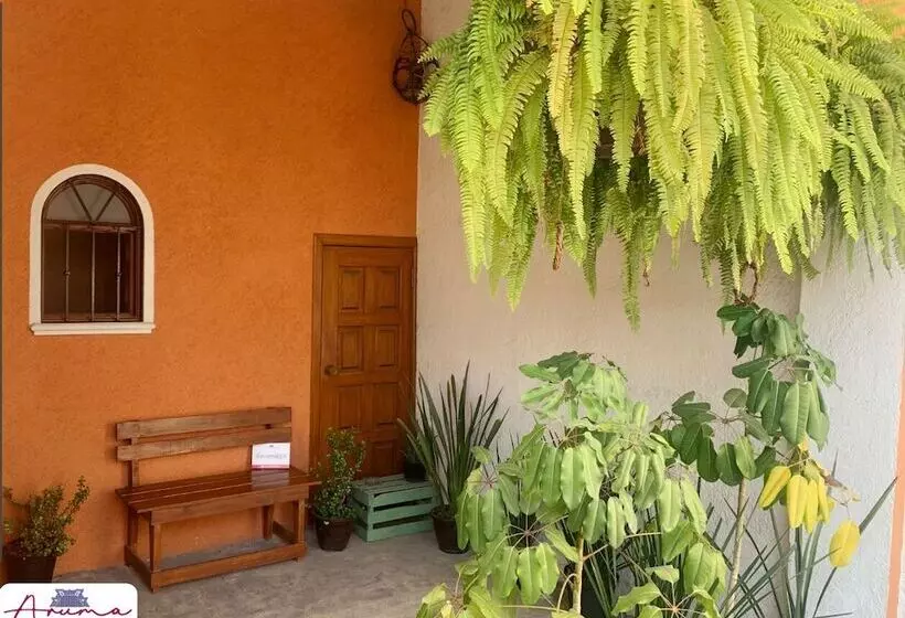 پانسیون Aruma Cuernavaca