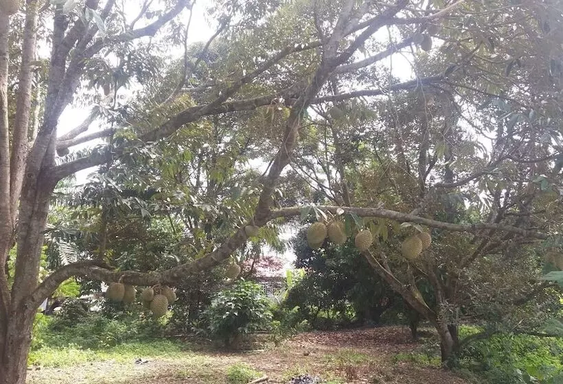 Pension Glg Klia Transit House