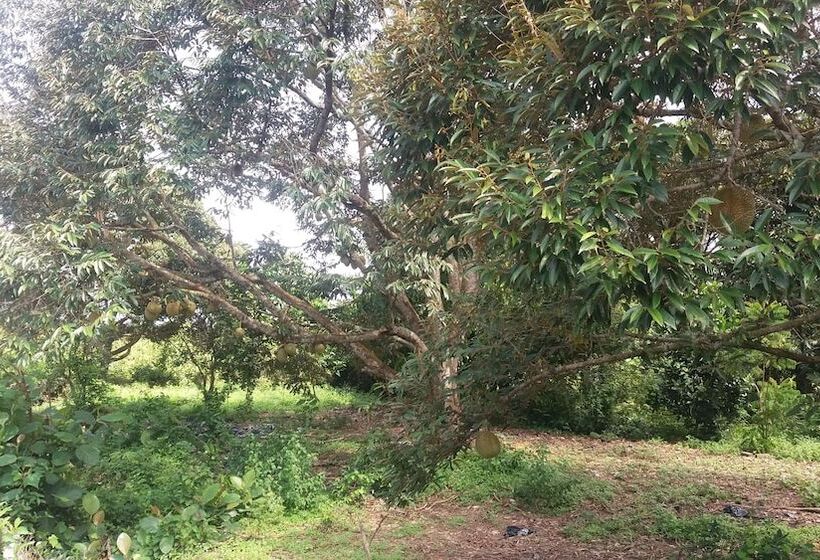 بنسيون Glg Klia Transit House