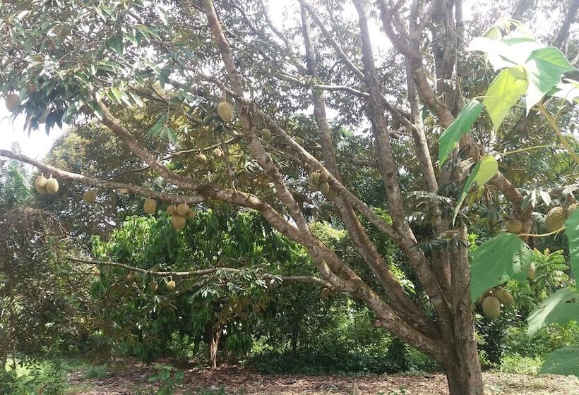 بنسيون Glg Klia Transit House