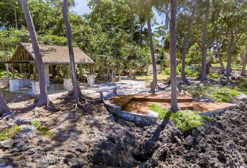 פנסיון Nakatumble