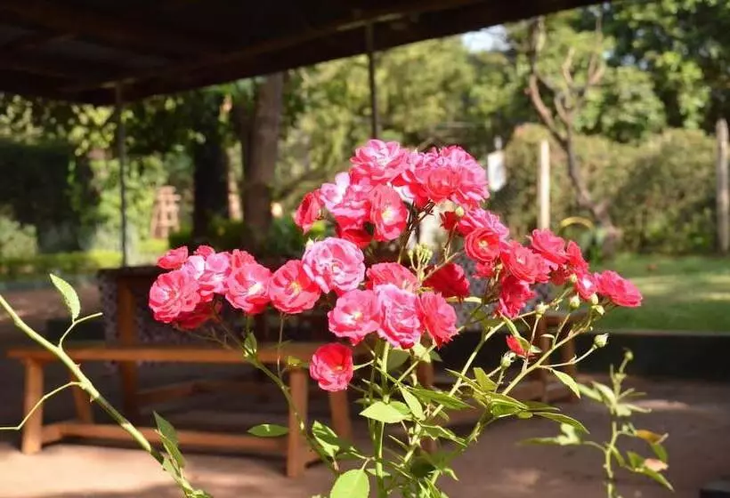 Tanzania Volunteers Hostel