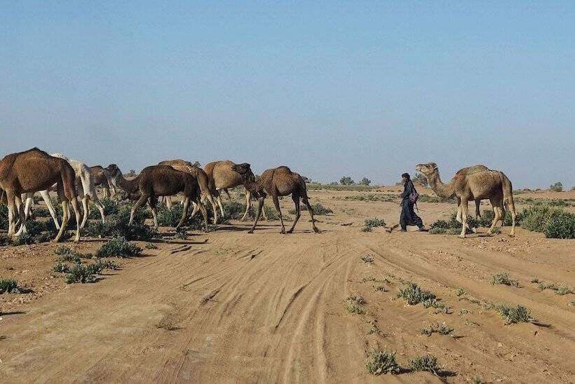 تختخواب و صبحانه L Oasis Berbère