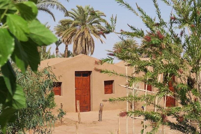 تختخواب و صبحانه L Oasis Berbère