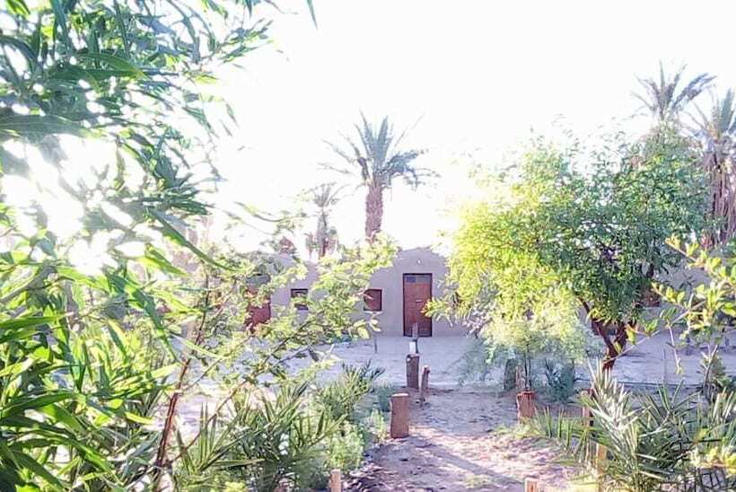 تختخواب و صبحانه L Oasis Berbère