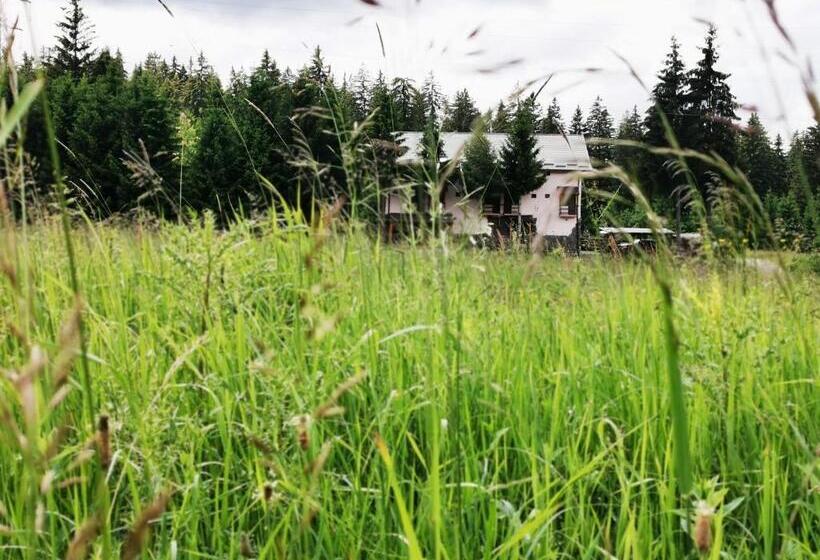 פנסיון Casa De Vacanta Predeal