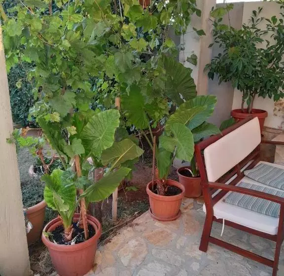 Apartments Vesna