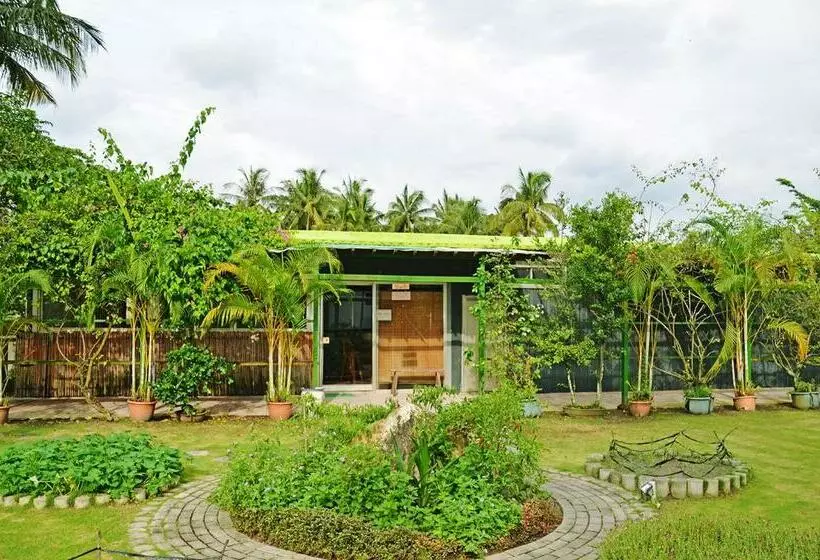 هتل Kaohsiung Meinong Rabbit Paul Homestay B&b