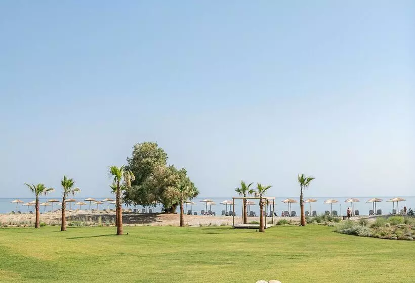 ホテル Myrion Beach Resort & Spa   Adults Only