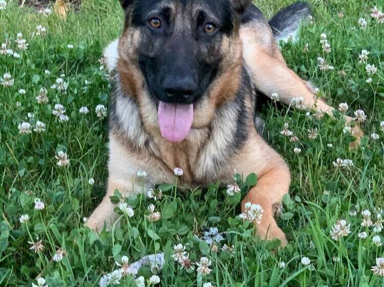 צימר Villa Franciana