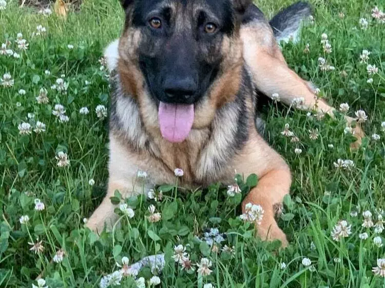 ベッドアンドブレックファースト Villa Franciana