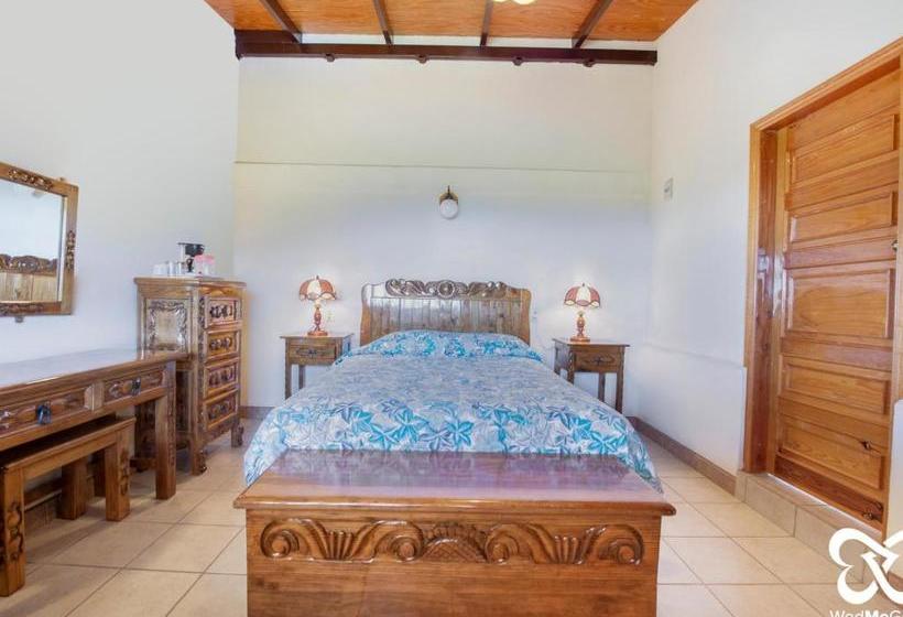 فندق Don Quijote