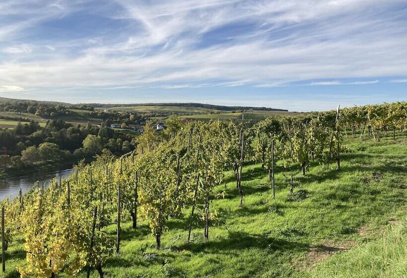 Comfortable Apartment In Ediger Eller Eifel