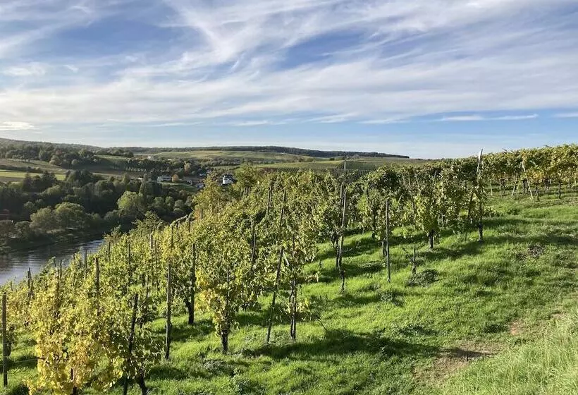 Comfortable Apartment In Ediger Eller Eifel