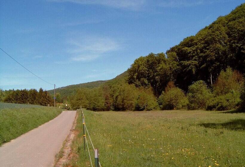 Fantastic Apartment In Bad Pyrmont With Terrace