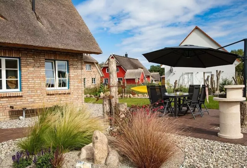 Exclusive Holiday Home In Rerik With Sauna