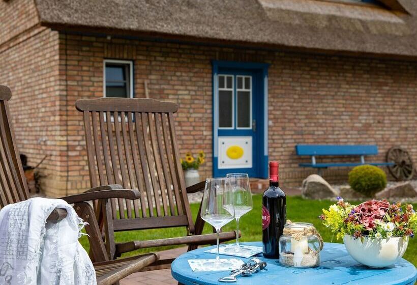 Exclusive Holiday Home In Rerik With Sauna