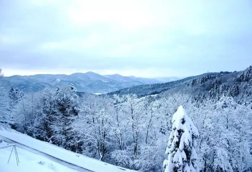 Hotelli L'hostellerie Le Turckheim Croix D'or