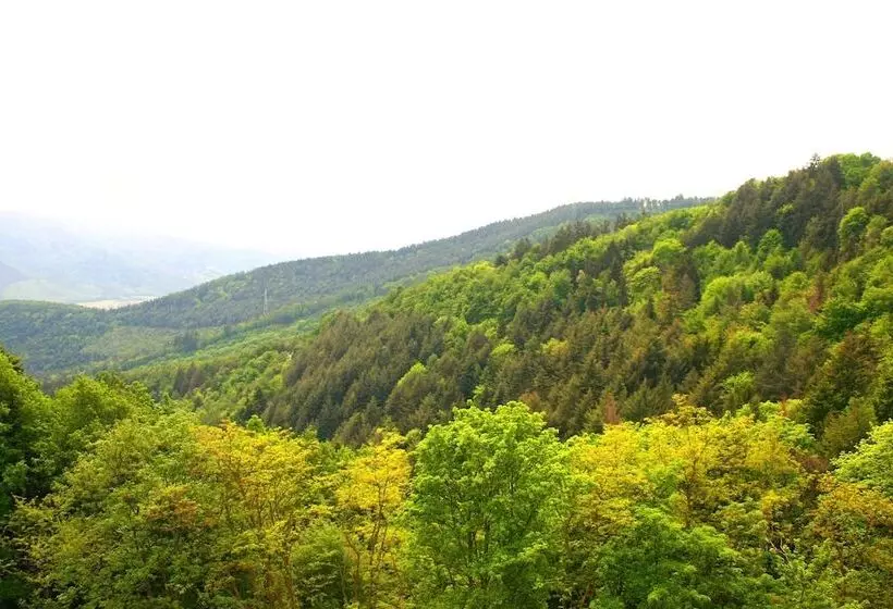 Hotelli L'hostellerie Le Turckheim Croix D'or