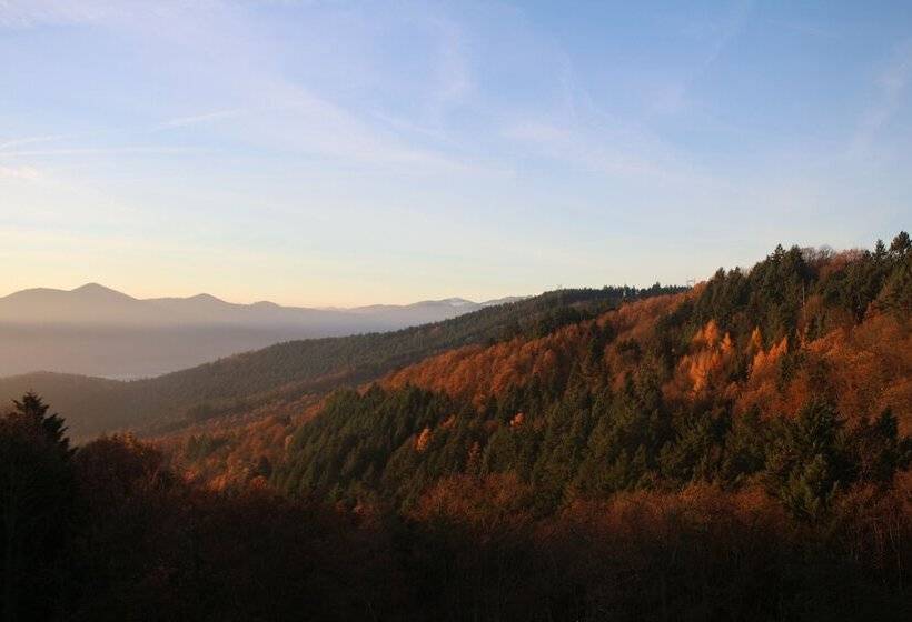 Отель L'hostellerie Le Turckheim Croix D'or