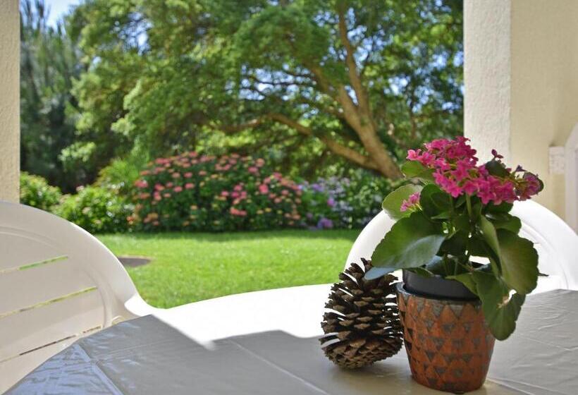 Beautiful Flat With Pool In Moliets Et Maa