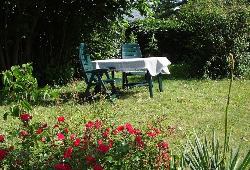 Sunny Apartment In Kühlungsborn Near Seabeach