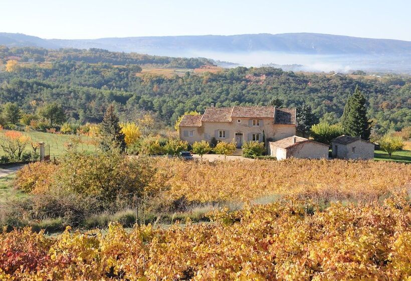 Bed and Breakfast La Couleur Des Vignes