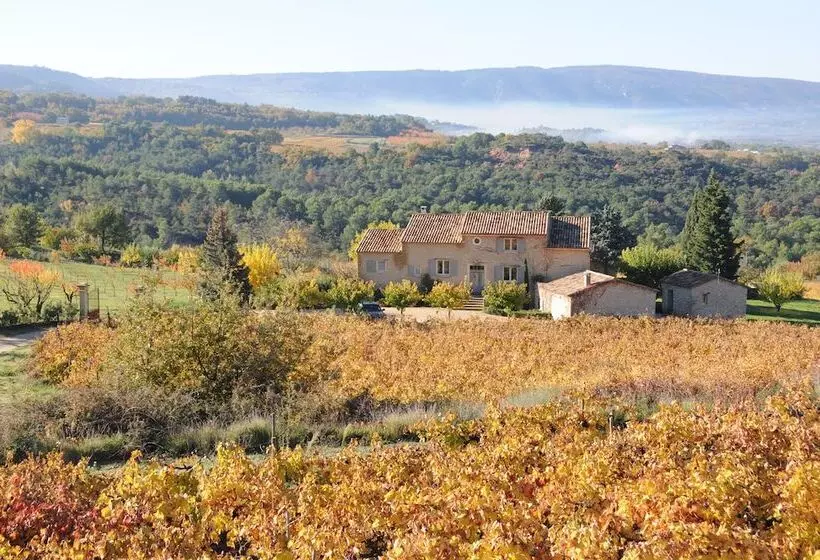 ベッドアンドブレックファースト La Couleur Des Vignes