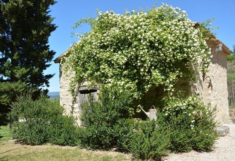 Bed and Breakfast La Couleur Des Vignes