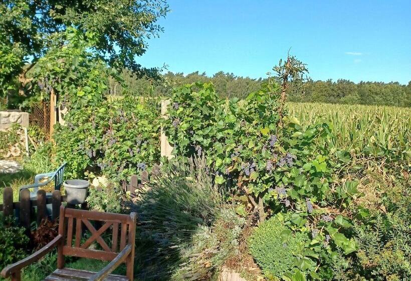 Cozy Bungalow In Nakenstorf With Garden