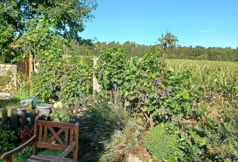 Cozy Bungalow In Nakenstorf With Garden