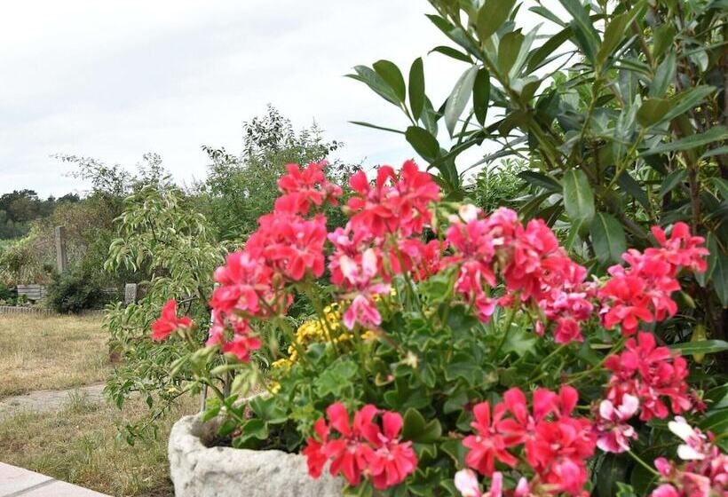 Cozy Bungalow In Nakenstorf With Garden
