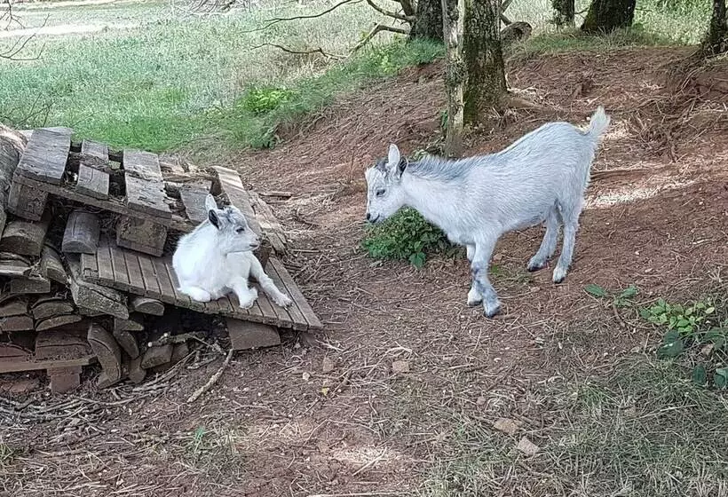 ホテル Au Tour De L Aveyron