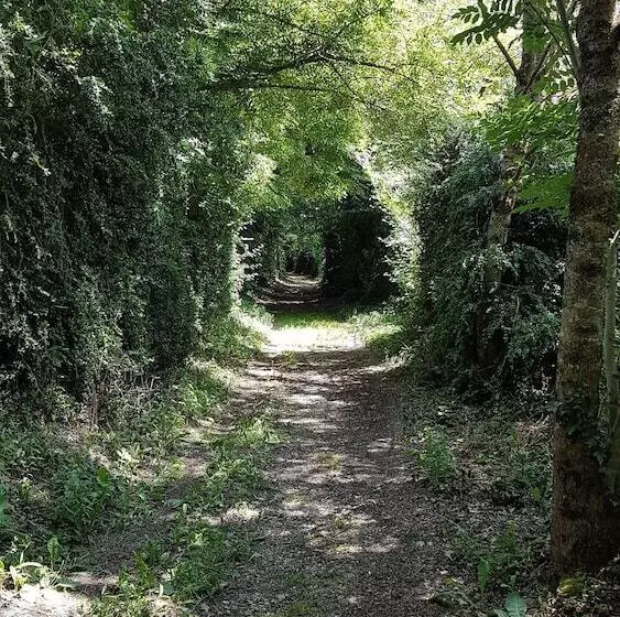 ホテル Au Tour De L Aveyron