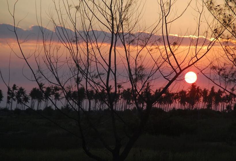 فندق Zalala Beach Lodge