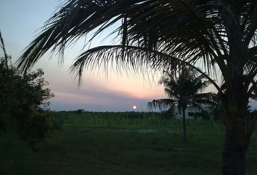 Hotelli Zalala Beach Lodge