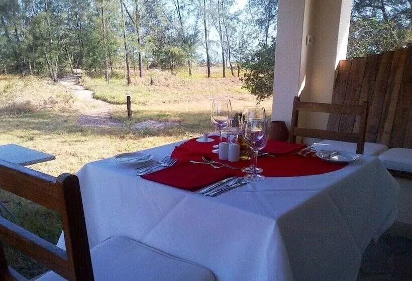 Hotelli Zalala Beach Lodge