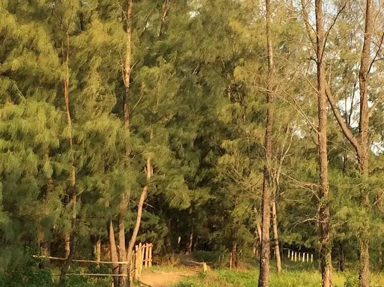 Hotelli Zalala Beach Lodge