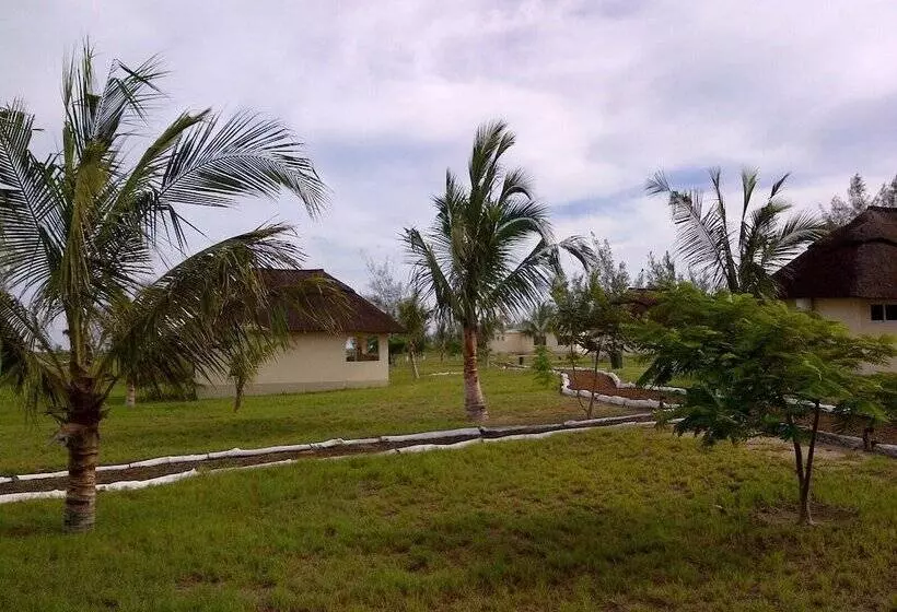 Hotelli Zalala Beach Lodge