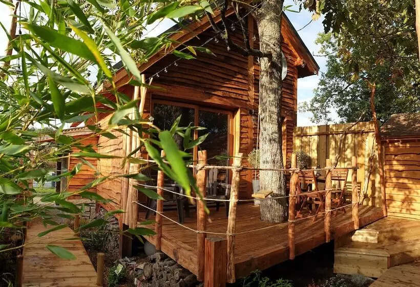 Kabanéo   Gîte Et Sauna  Samois Sur Seine   Forêt De Fontainebleau